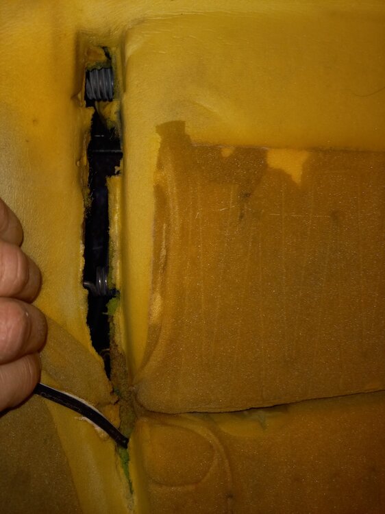 20210226_174609.thumb.jpg.2a89e3f95d5c952fb5d5891c8f820ce4.jpg