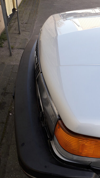 20210329_092948.thumb.jpg.8c8aaf1b0161b86388fc5b72b036d93d.jpg