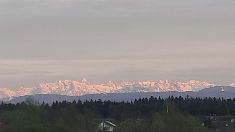 20210508_203519.thumb.jpg.7c9b27f13451c97de1370d39f7bd0c2f.jpg