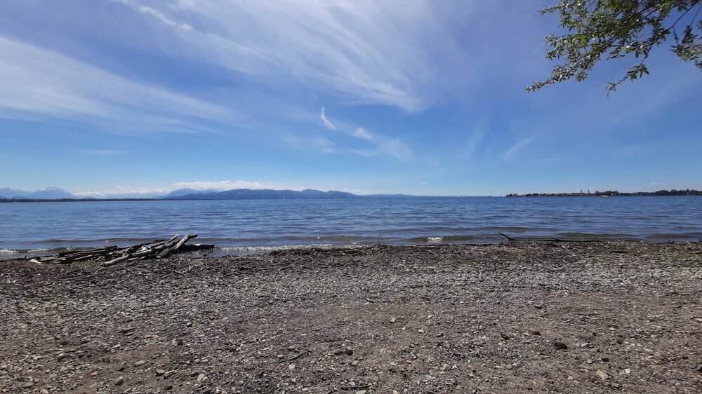 20210528_144911.thumb.jpg.08162fe932f281b6e3380420d80c413f.jpg