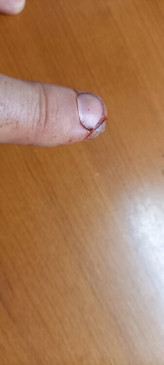 20220227_172422.thumb.jpg.01dd61e551dafcdcceae6d5e3e37f98e.jpg