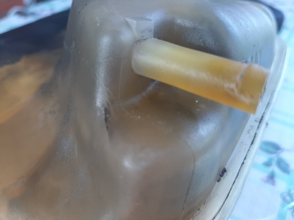 20220610_184507.thumb.jpg.ded9a53ced8e4c181cbfd12270c1fc67.jpg