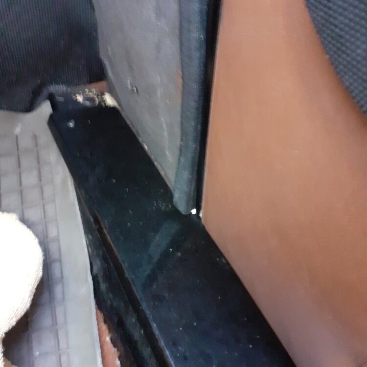 20240427_122129.thumb.jpg.e70e2e98af77763e410dd42e246534b4.jpg