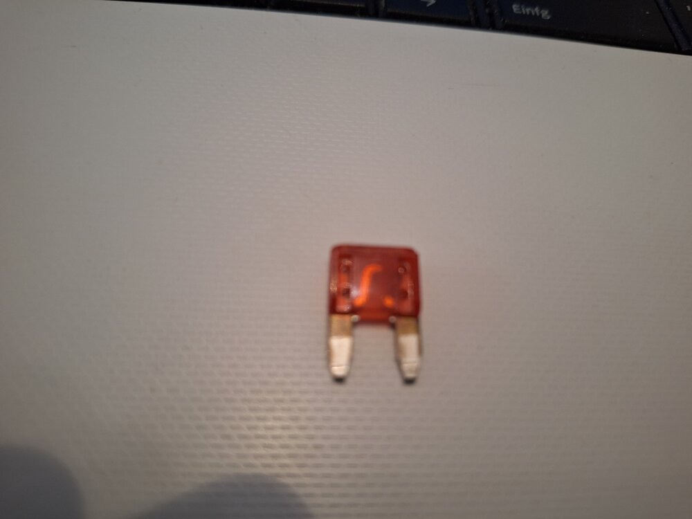 20240428_180535.thumb.jpg.568b022ee5aa64c7dfe2c6cc54dda090.jpg