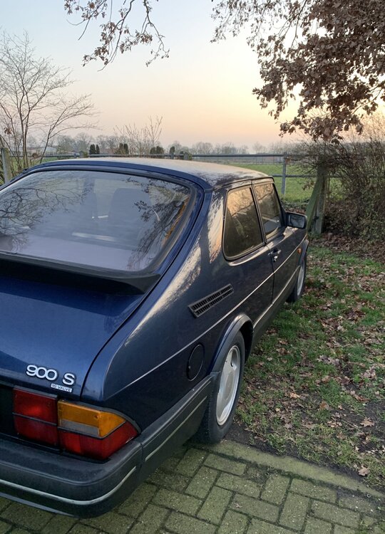 2053BE75-AE8B-4E34-8D35-0CB5C2532B3E.thumb.jpeg.73961f1a42bf65924cf64c1287c69d34.jpeg