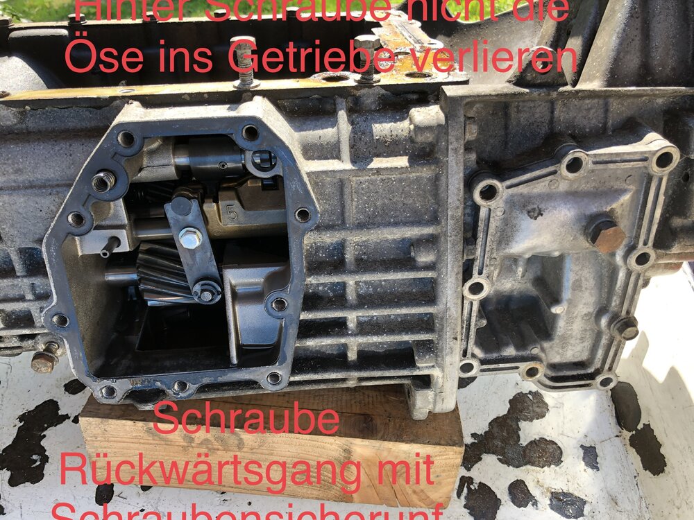211E1BF4-854F-47A4-9F91-3615F3D40787.thumb.jpeg.df5ed74b2276f6fbd7bfa5b25f6b6555.jpeg