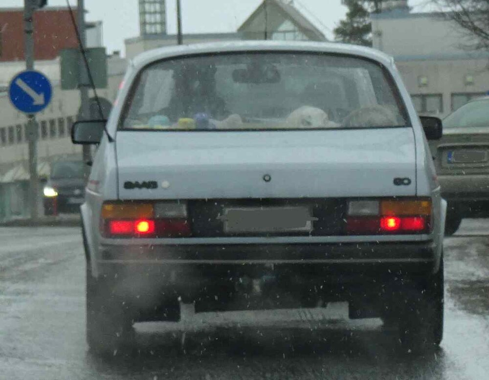 22040990_.thumb.jpg.6754ae3241f9056b35561ca4cfa7001e.jpg