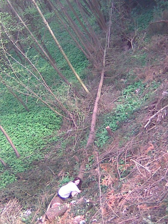 27042012_020.thumb.jpg.03fe998ce46efbfc65f03b62a558aa0e.jpg