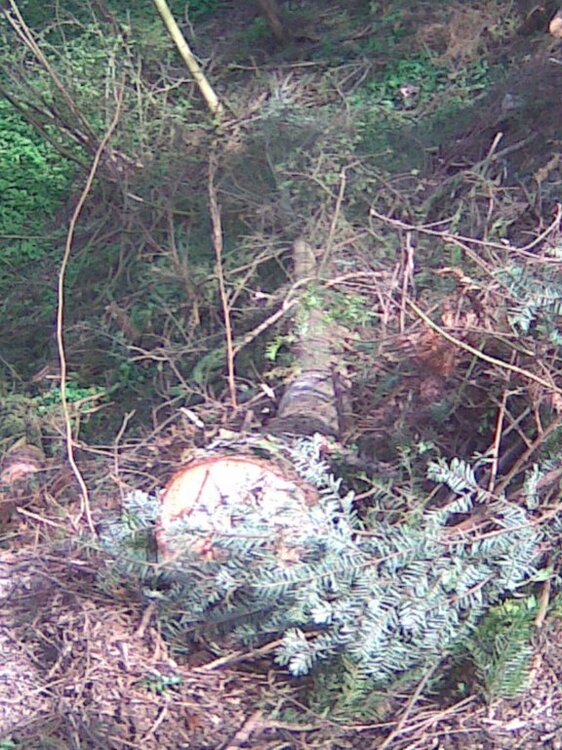 27042012_024.thumb.jpg.421093c2f8fff173cd41ab7f704cf53c.jpg