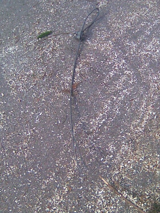 27042012_027.thumb.jpg.969e1b802045984af24d3bd07a220e9c.jpg