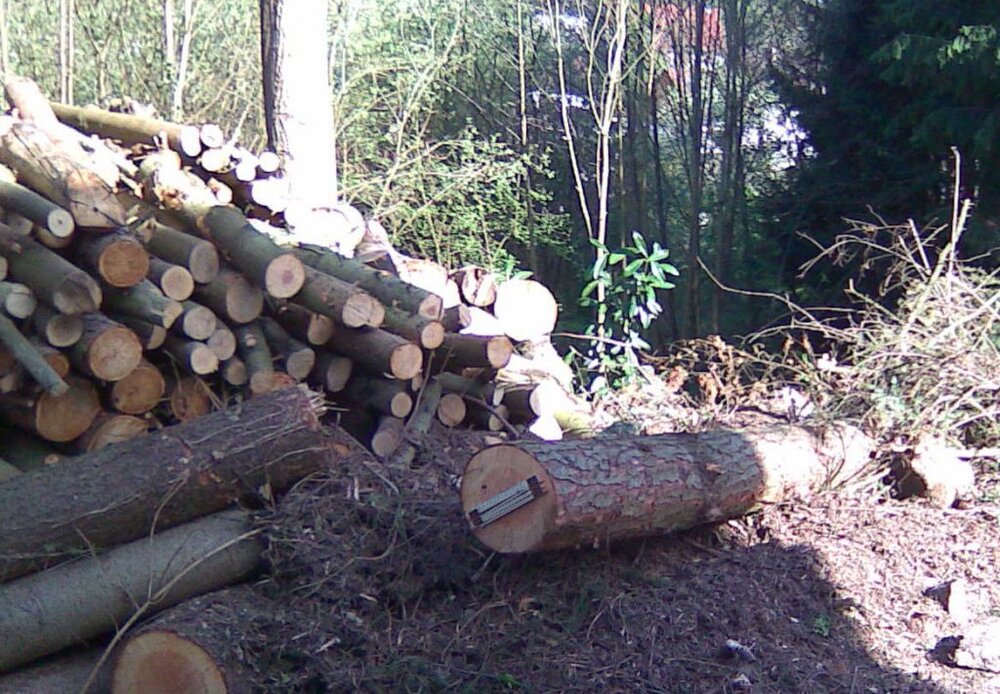 28042012_002.thumb.jpg.160c16ef6f89bcc6dfd605fb538fec26.jpg