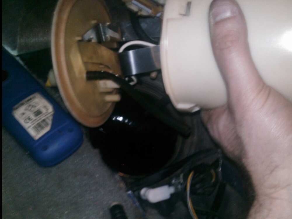 29.thumb.jpg.3768ef2601602de9cfe3fbb2955fb652.jpg