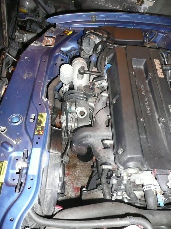 2_Motorraum.thumb.jpg.340716ffa260173ff6da2eeb974dc8b2.jpg