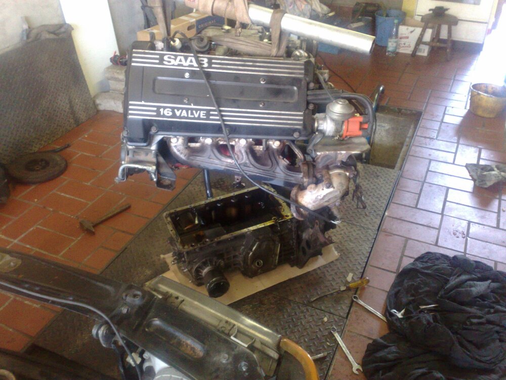 31082009374.thumb.jpg.150c446d7ce628dd0ce91ebf9c825389.jpg