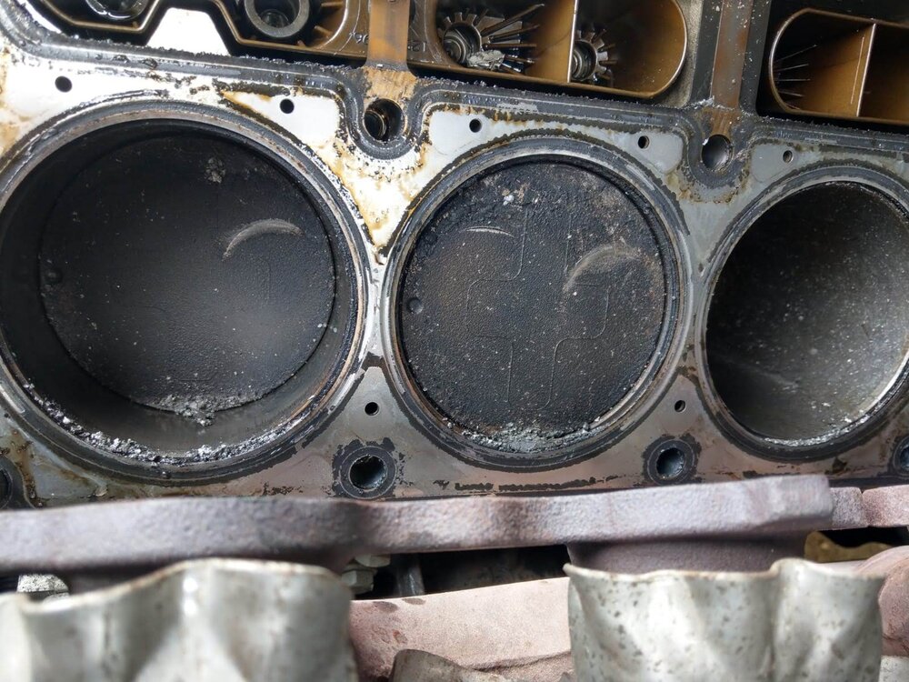 3bedce25-e4cf-46b2-80a0-1999e7efaf1a.thumb.jpg.7237f3867b41a0c4261494c0763db3c4.jpg