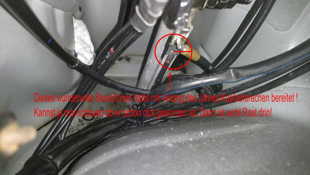 4.thumb.jpg.a3e6cd03c2922cd5aec827af8b72081a.jpg