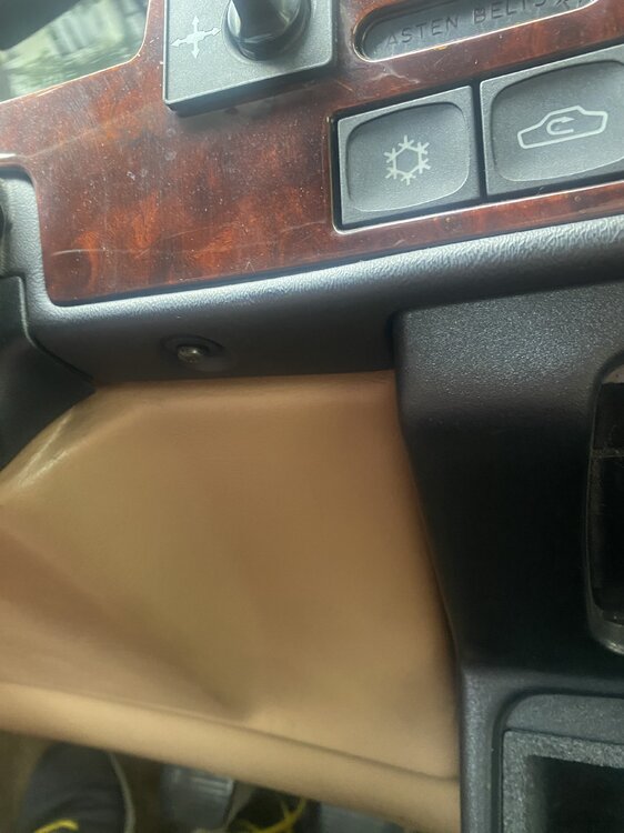 5C453FC2-BDAA-4B53-8FC2-CC48DD5342EF.thumb.jpeg.4e7fcb5b031de715e2a114c70d44dcfa.jpeg