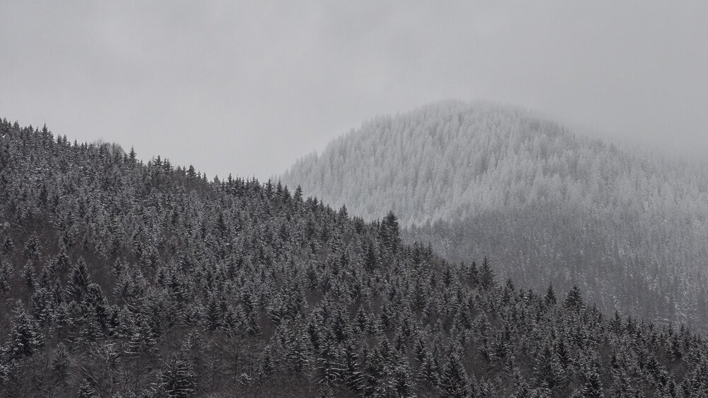 5C8847E0-1B79-4662-81AB-A7C0D0873CCD.thumb.jpeg.066838fd80c6afca200fe1a81e1232a7.jpeg