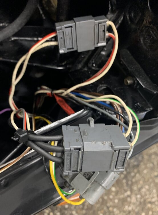 62760C0F-FEC2-4976-A317-F573E9B1D085.thumb.jpeg.05e42af3ed386b282d5a3712fe9ae33b.jpeg