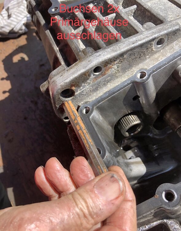 6D5391B2-EEE8-4D71-9583-D7ECB0DE131A.thumb.jpeg.9c7c35bdcd3060e86ad5c60cc4f64e05.jpeg