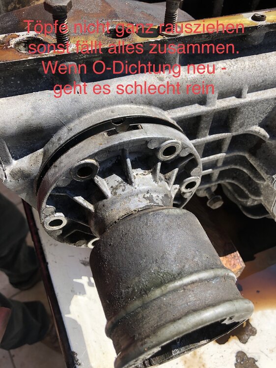 7AB4193C-F7BD-4D9C-91B8-9703BFDE0501.thumb.jpeg.c86242710f57b565faa89af06ff66ee4.jpeg