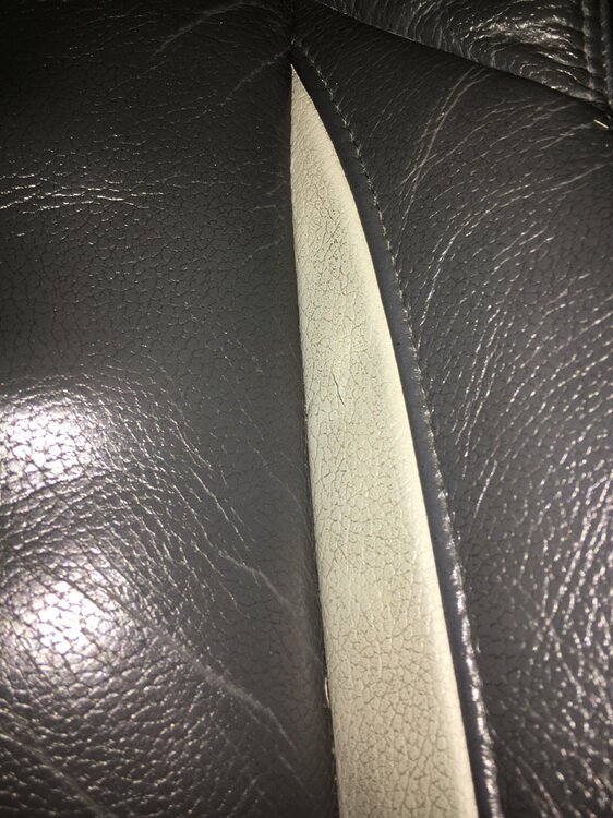 7B8B3B5D-CEB0-4B7C-AAB0-A25835283873.thumb.jpeg.3ed6b4fb8ac81cec43d0e435ae7ce0c1.jpeg