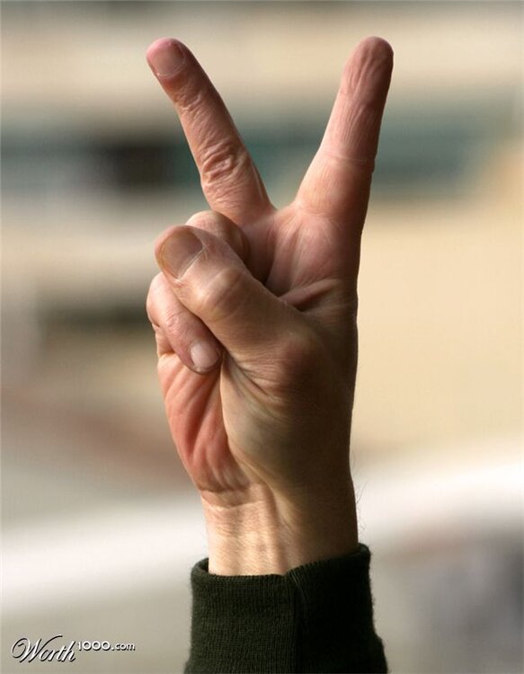 882343_bb0d_625x1000.thumb.jpg.1f61c18b2e0b4cec41e6b1ed8a8b5951.jpg