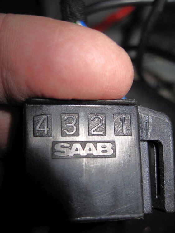 91240901.thumb.jpg.8972854adf28bc6da1a42f40dfb07429.jpg