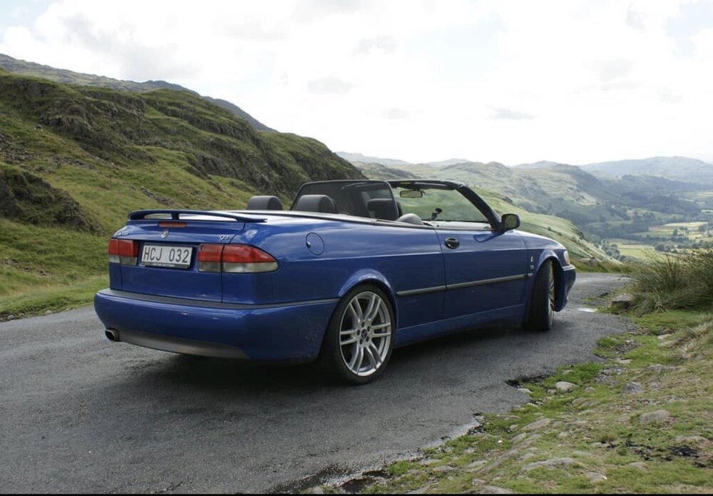 93cvhirsch.thumb.jpg.d74efdb52be48397faeba8f624526664.jpg