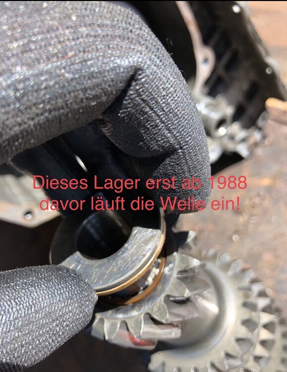 A7759CB6-F526-4ADA-9501-324F9C4BCDF2.thumb.jpeg.de0cc09886fa5f9728e73fa46874ffb7.jpeg