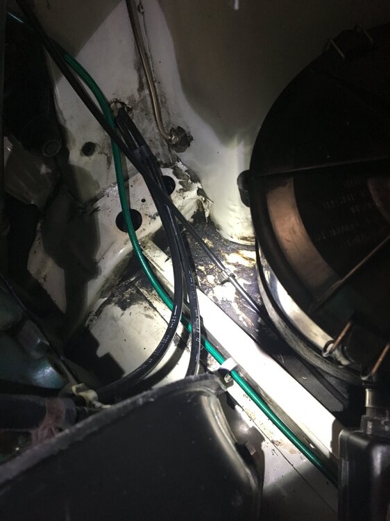 AC6ACE8A-B086-46A8-9CD1-F5CF5A166832.thumb.jpeg.2c778f6cf6659a72fae257ad0c00dea4.jpeg