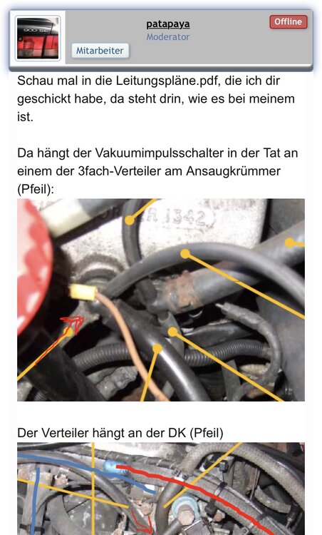 AF68B014-D71A-4B6D-B53D-AD24251B0024.thumb.jpeg.d3bcdee56cb2bdd8f74fe0693228a4e7.jpeg