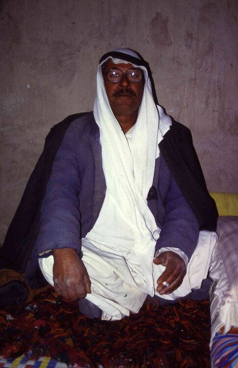 Abu.thumb.jpg.5b9279e6fb4fd2f2b621223be2a7abba.jpg