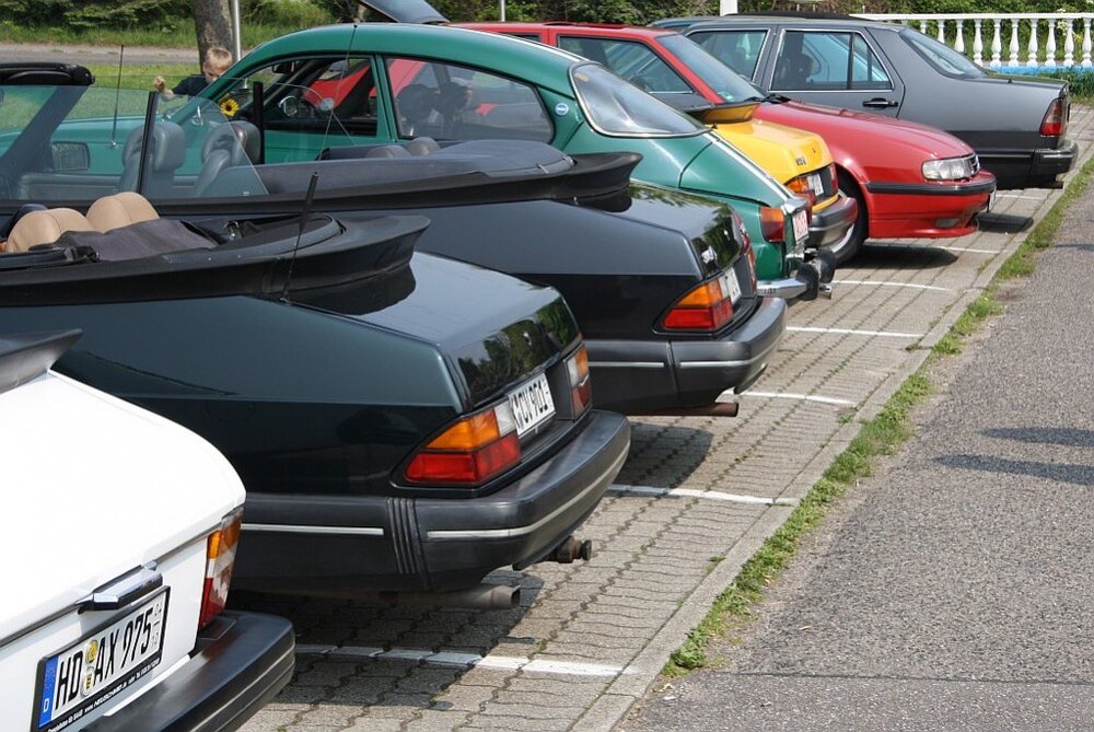 AlleSorten.thumb.jpg.263d4ddd906a855085e2d2ee03c9dc3a.jpg