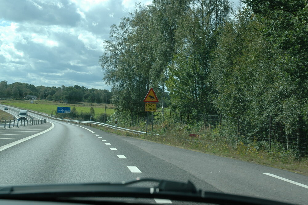 AufdemWeggenYstad.thumb.jpg.83bd6b73a10777bf473dfbde6f5002b2.jpg