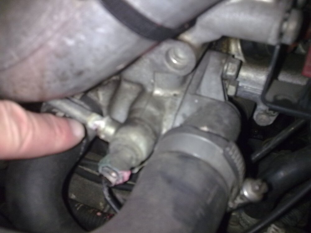Auto-0720.thumb.jpg.2af04e6c5ed5e7c9ac0199ddd469e03a.jpg