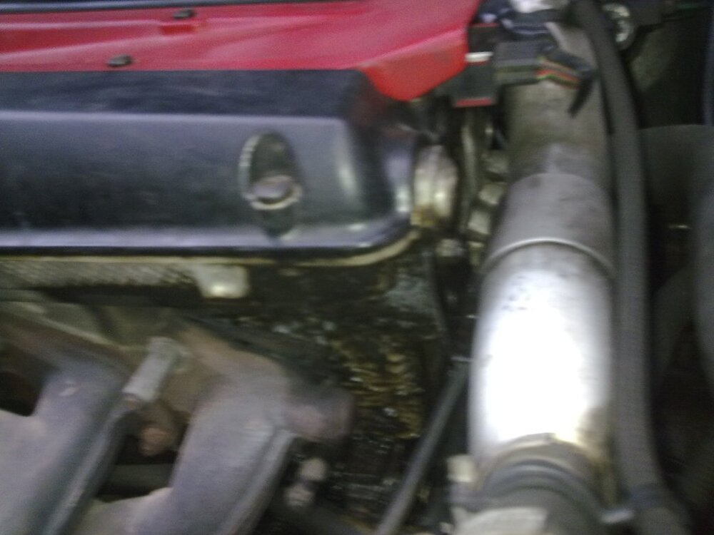 Auto-0721.thumb.jpg.100c3640bd7f606362d2b9c3178ccb5b.jpg
