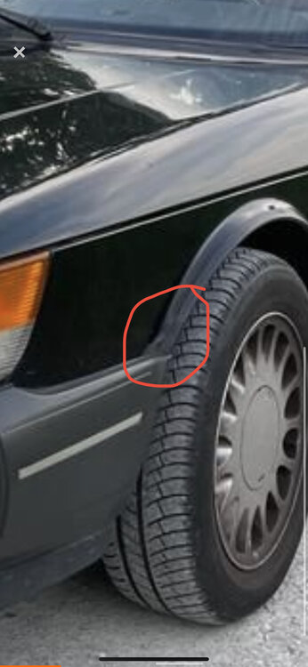 B1E0625D-E7BA-4BF7-97EF-E31D30E6252A.thumb.jpeg.aa7a9bd7c8603c2349220b3d70947186.jpeg
