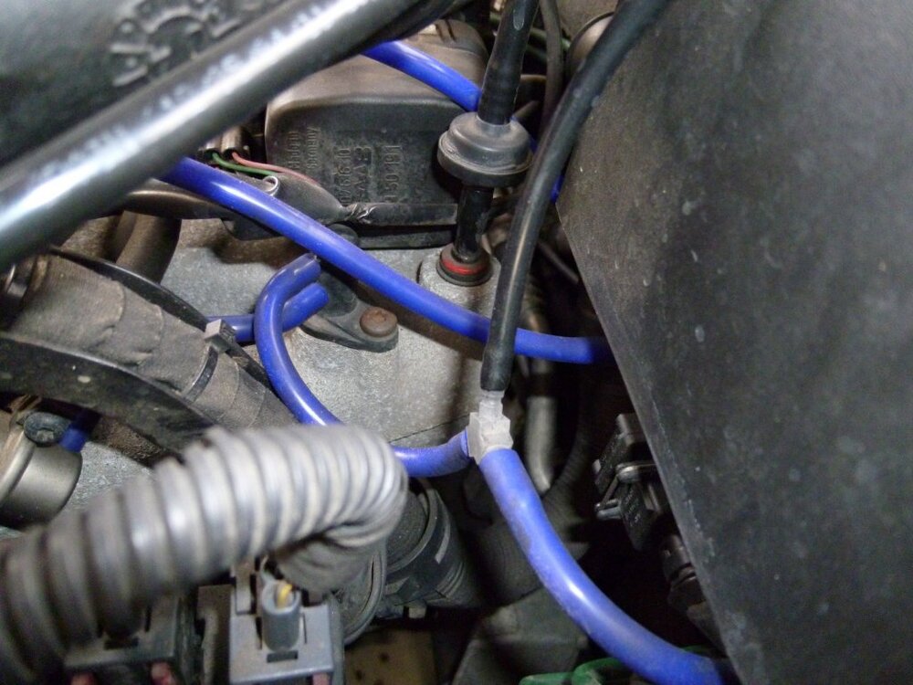 B235R5.thumb.jpg.98a2bc6ae08afd0014ce17f294d3a827.jpg
