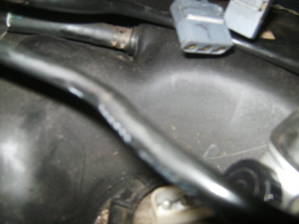 BILD0018.thumb.jpg.e00bd00f2f358f1f47ed0a2675fb034f.jpg