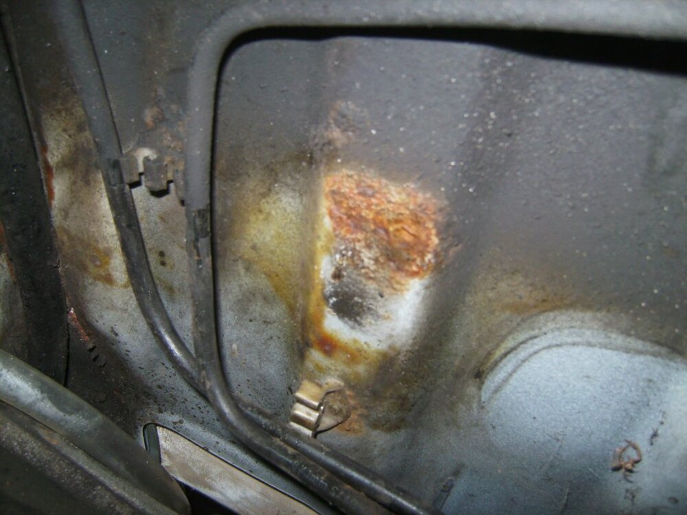 BILD0019.thumb.jpg.5bcb3196e9ea5e9a6b5e1ad98d263203.jpg