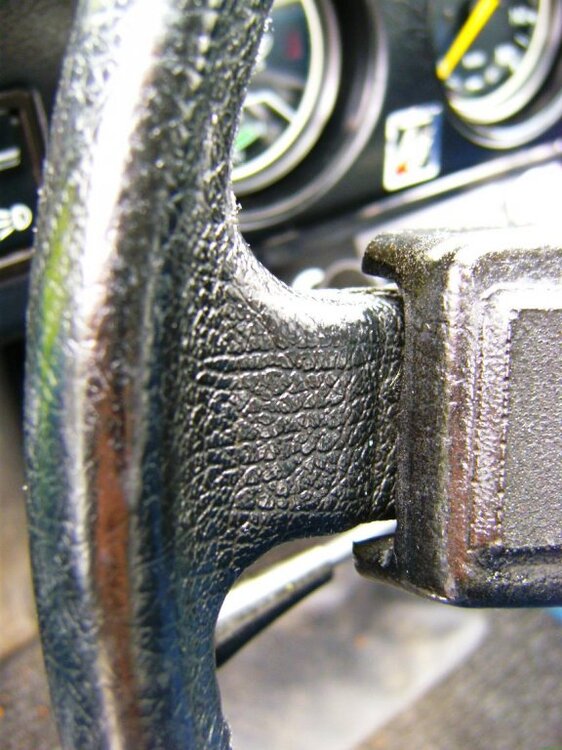 BILD0543.thumb.jpg.33fc75b6c6de119a935a72835392db5e.jpg