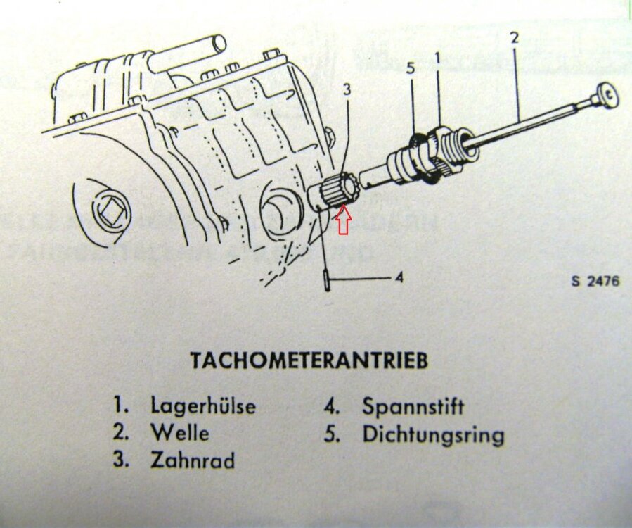 BILD0766.thumb.jpg.a548c33ab93d1261cc05b808f20bc5b9.jpg