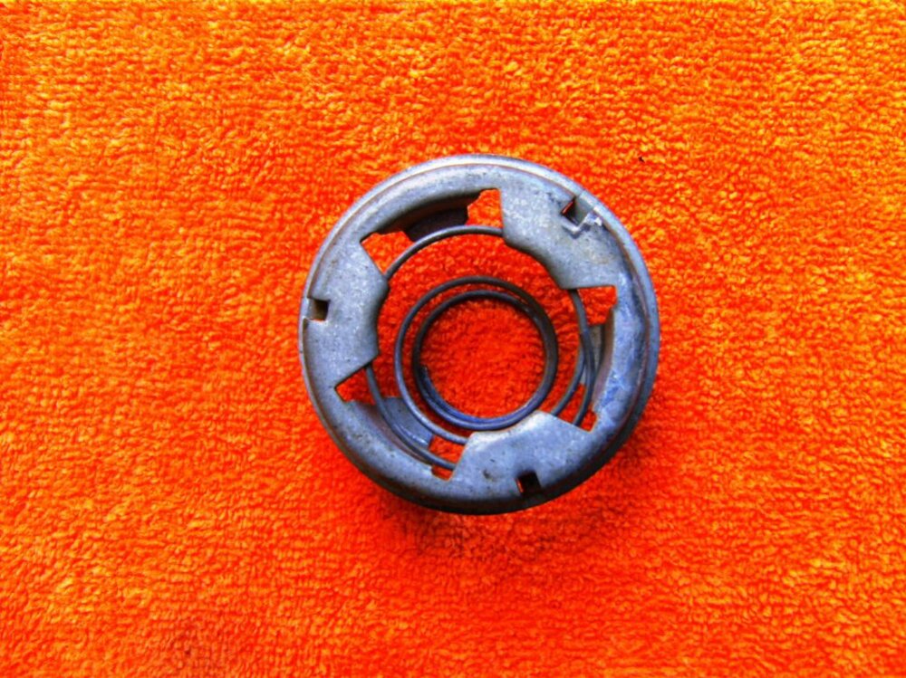 BILD0887.thumb.jpg.9f5385f1dc492d6a6de268aaa22583bd.jpg