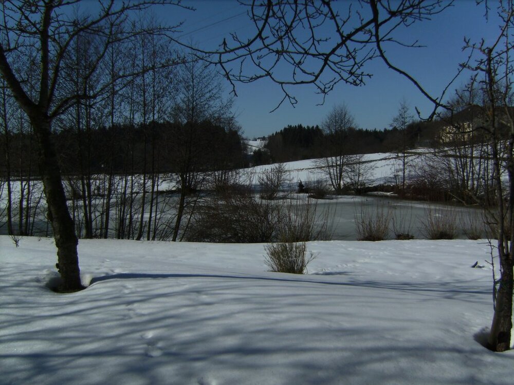 BILD2962.thumb.jpg.f920db4eee32ddad6fa9c60c80dffc2b.jpg