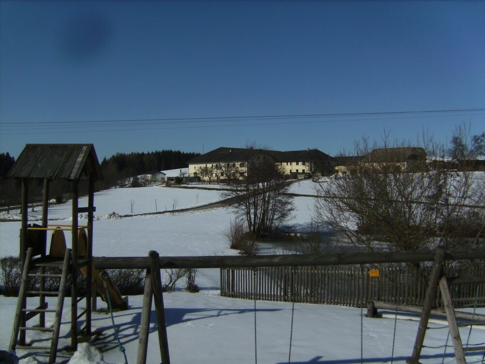 BILD2965.thumb.jpg.a1bb4d0ba364a43998e6685b0d712603.jpg