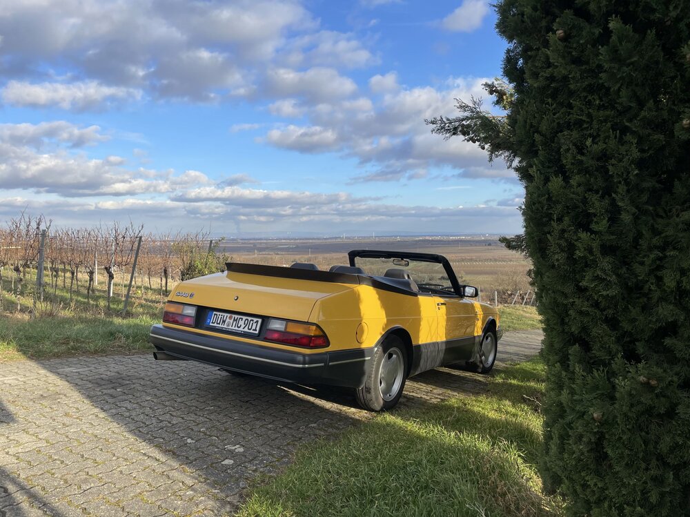 Bewegungsfahrt2025-Januar08.thumb.jpg.68c380ae33b5f8269a3650e5006b8762.jpg