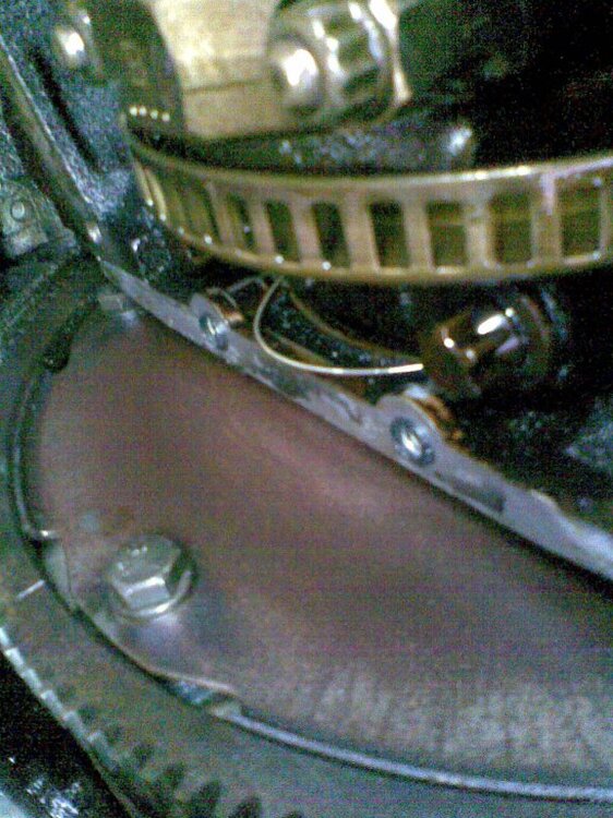 Bild001.thumb.jpg.cb3798cbb51e95f235fc4dc6dbede041.jpg