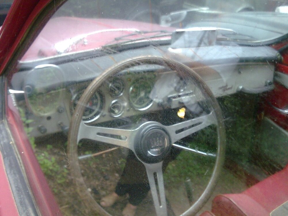 Bild0018.thumb.jpg.da894f8e4b8b397a6ad50a36642ad2e5.jpg