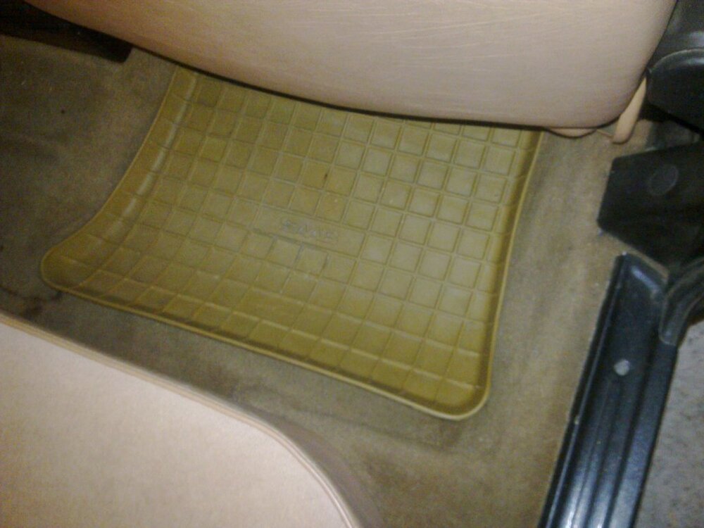 Bild0591.thumb.jpg.84394b98e42172ab150dfba3b08ddcc2.jpg